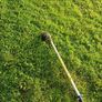petrol strimmer Image 3