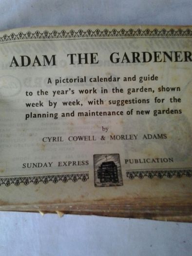 Adam The Gardener