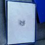 1986 USA Proof Coin Set Image 5