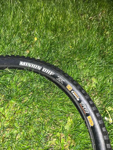 Maxxis minion dhf
