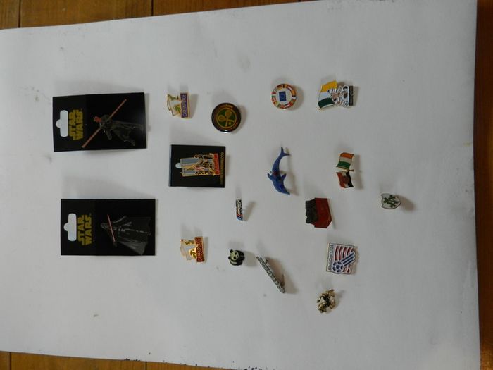 Coat Pins