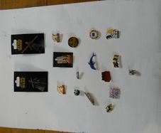 Coat Pins
