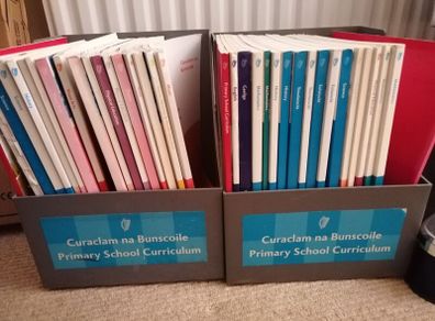 Primary School Curriculum Books