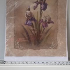iris print unframed
