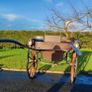 Horse Carriage Image 7