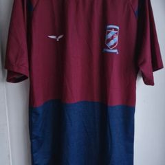 St. Mary's Diocesan PT top