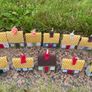 'Thatch & Match' - Thatched Cottages/Pubs Image 2