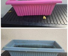 plant window pots