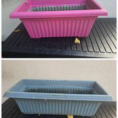 plant window pots