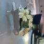 Aynsley wheelbarrow posy of flowers Image 4