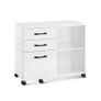 Mobile Filing Cabinet with 3 Drawers, Adjustable Shelf and Lockable Castors Office Cabinet Image 2