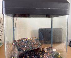 16L Aquarium / Fish Tank