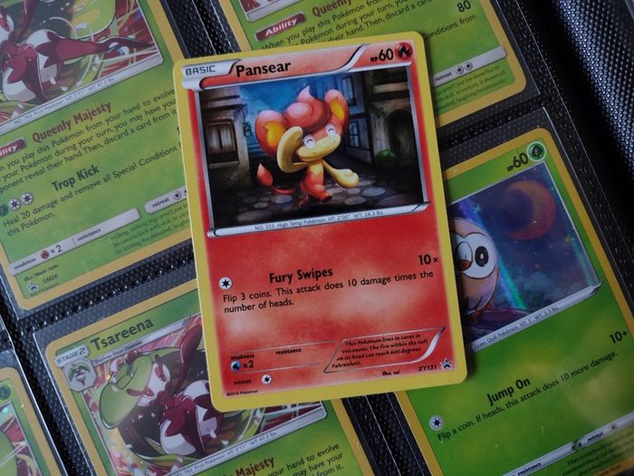 Pansear ! Promo ! Holo ! XY Era ! 2016 ! Pokemon Card !