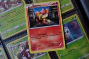 Pansear ! Promo ! Holo ! XY Era ! 2016 ! Pokemon Card !