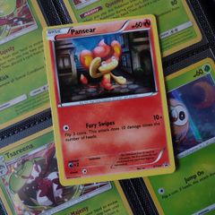 Pansear ! Promo ! Holo ! XY Era ! 2016 ! Pokemon Card !