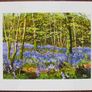 Print of an oil painting of bluebells Image 2
