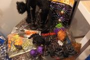 Halloween bundle