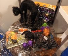Halloween bundle