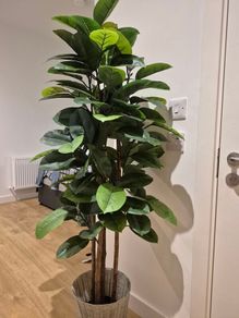 Artificial Plant
