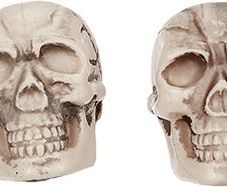 Halloween Decorative Skull Set of 12 Skull Heads Party Accessory