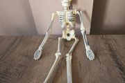 Hanging Halloween skeleton