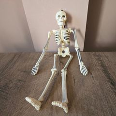 Hanging Halloween skeleton
