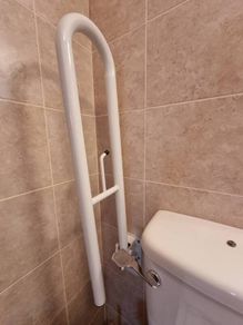 bathroom mobility rails