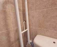 bathroom mobility rails
