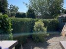 For Any outdoors or Gardening job, small or Big . Image 9