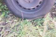 15 inch vw wheel