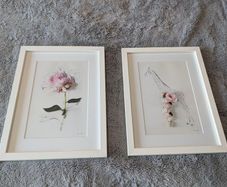 Picture with frame x2