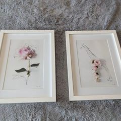 Picture with frame x2