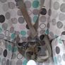 Argos Baby High Chair Image 5