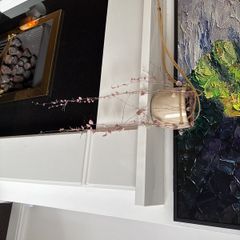 Trailing "String of hearts" real plant
