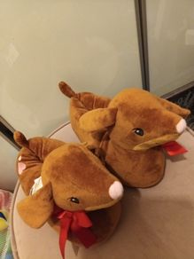 Doggy lover slippers