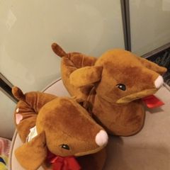 Doggy lover slippers