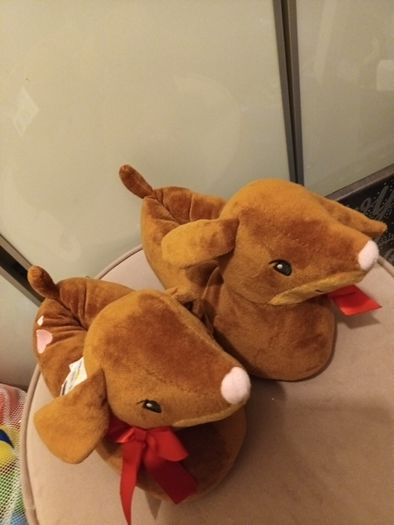 Doggy lover slippers