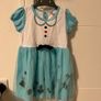 Alice in wonderland costume Image 2