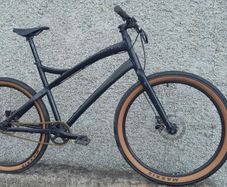 Specialized Centrum singlespeed