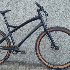 Specialized Centrum singlespeed