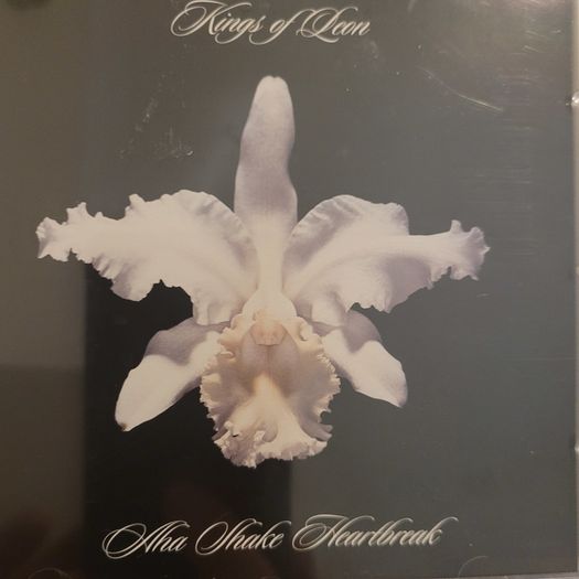 Kings of Leon CDs Collection of 4 albums: Aha Shake Heatbreak / Youth & Young Manhood / When You See Yourself. New cd / Mechanical Bull.