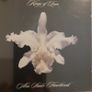 Kings of Leon CDs Collection of 4 albums: Aha Shake Heatbreak / Youth & Young Manhood / When You See Yourself. New cd / Mechanical Bull. Image 2