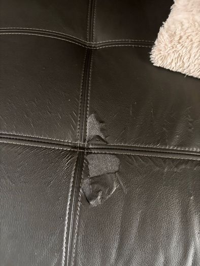 sofa bed and sofa