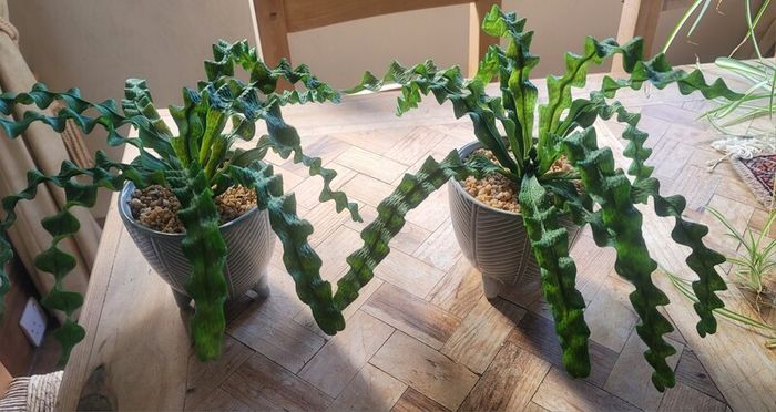Artificial Plants in Ceramic Plant Pots with Decorative Stones x2