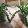 Artificial Plants in Ceramic Plant Pots with Decorative Stones x2 Image 2
