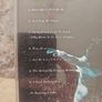 Sophie B Hawkins CD - Whaler Image 2