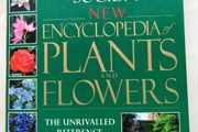 The Royal Horticultural Society New Encyclopedia of Plants and Flowers.