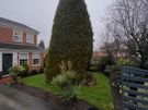 Gardening & Tree Service Image 3