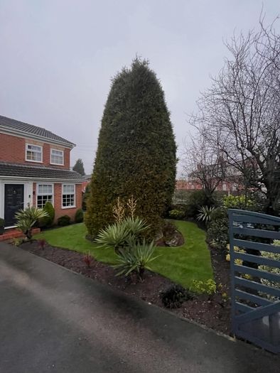 Gardening & Tree Service