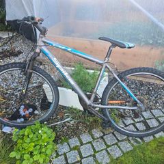 Adults Bicycle
